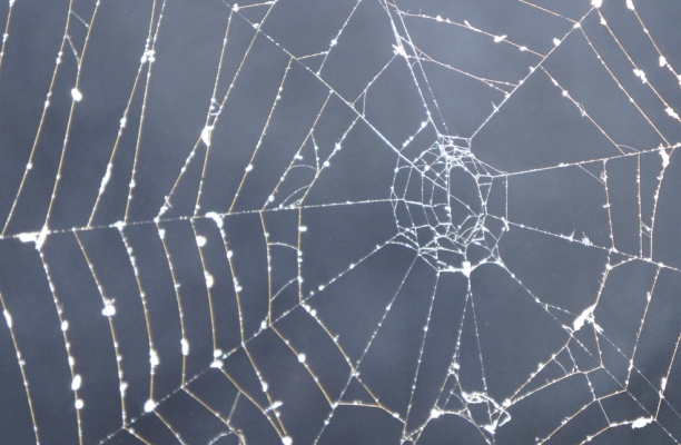 Establishing a Writing Routine